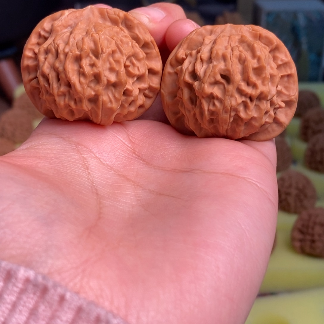 苹***树核桃秦岭金公子40