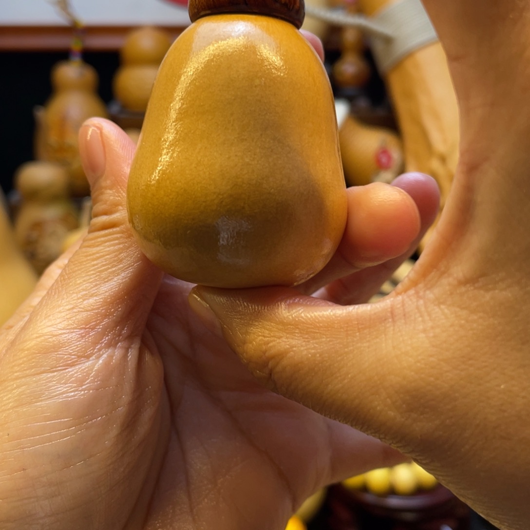 清**风葫芦笙和一首支部副委员等荣誉近二十