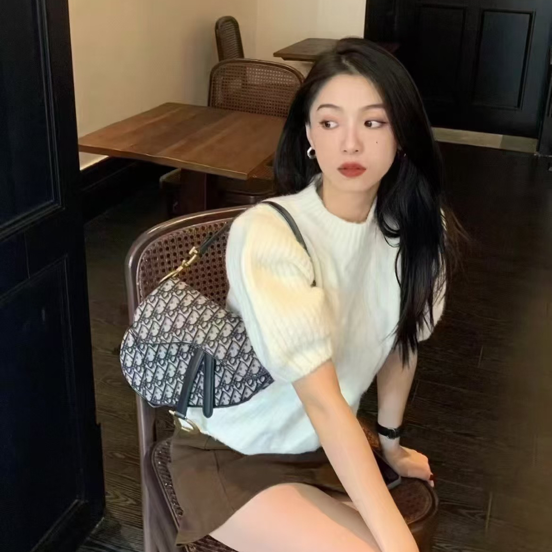99新 DIOR/迪奥 马鞍中号老花/99新/优选