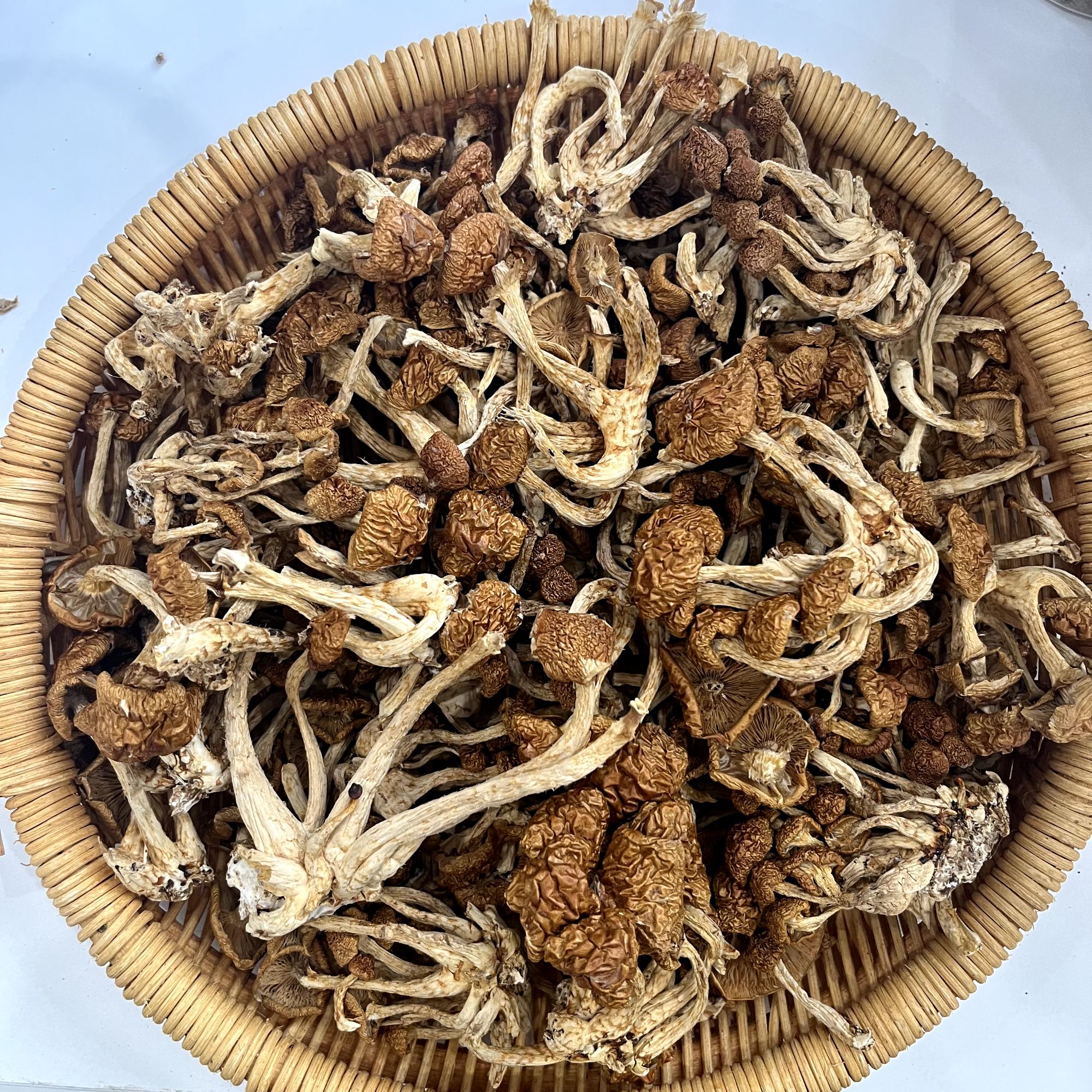 【水润君赵】 源头干货滑子菇-新货滑子菇滑菇小鸡炖蘑菇
