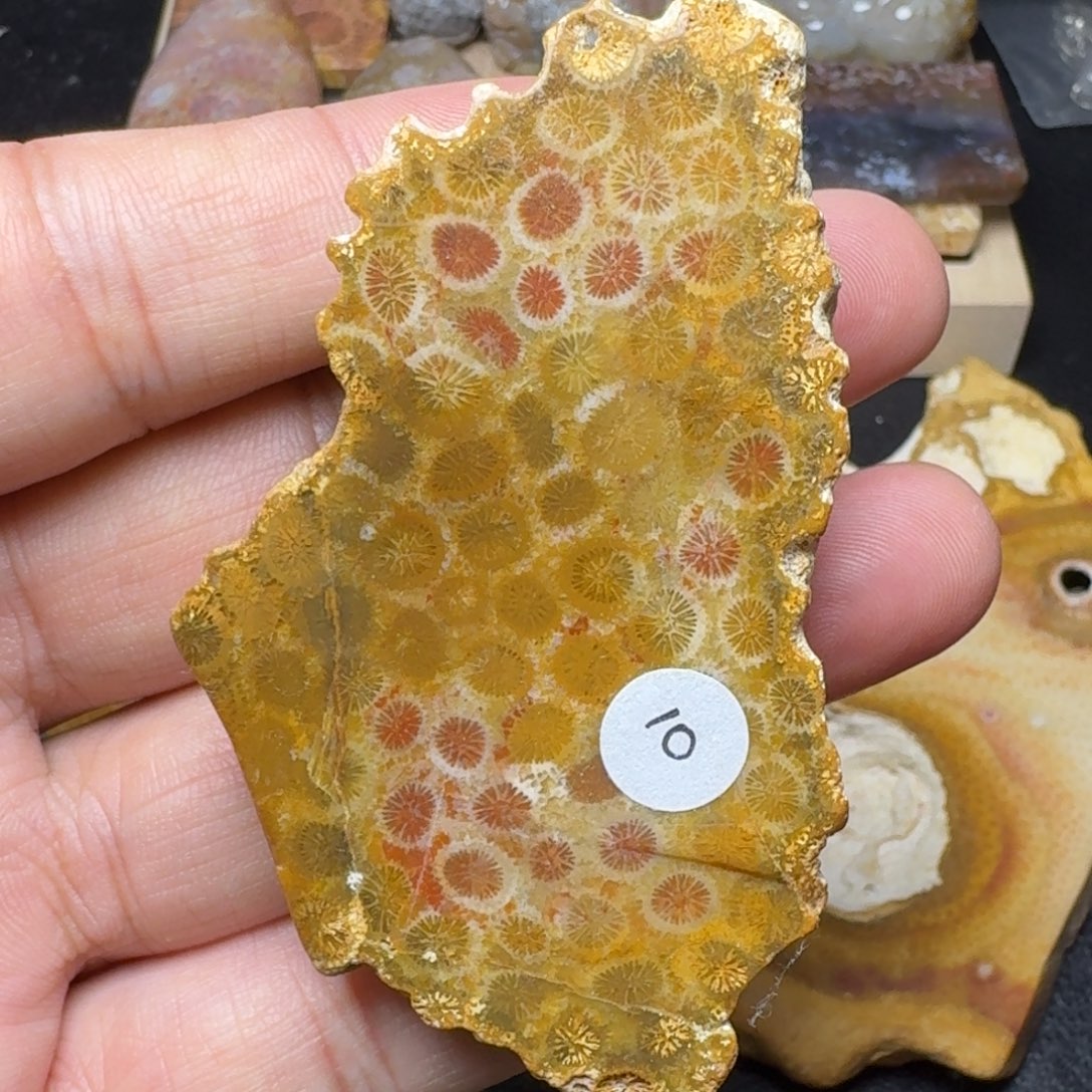 硅化玉未镶嵌纯天然色有机玉石保真色片料