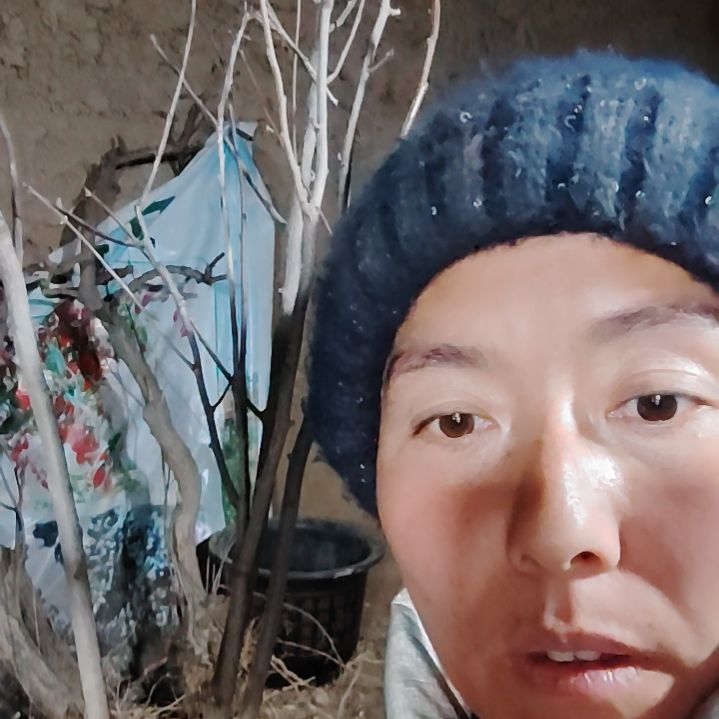 ห***嫲完全开放文冠树一颗