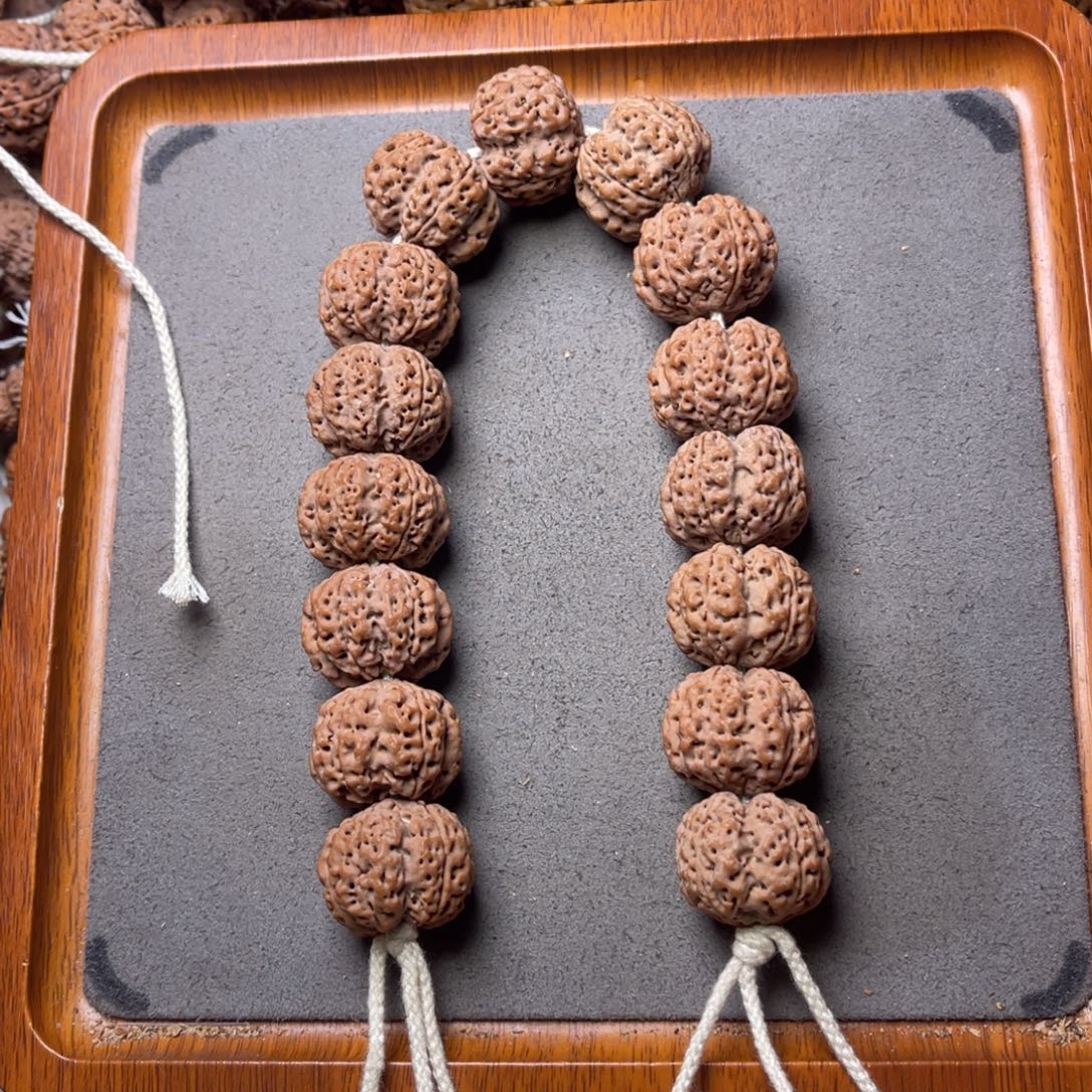 菩提籽类16号金刚菩提深沟龙骨梅花23