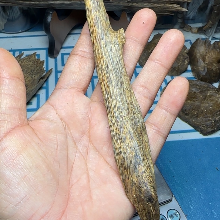 香粉母树白奇树心油16克