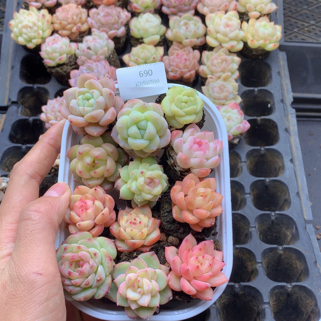 反反复复还是会有一069