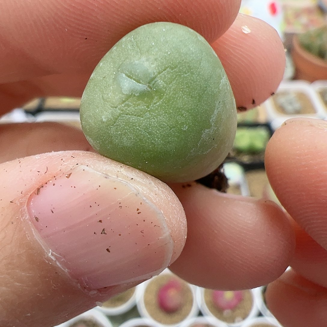 【闪购商品】284 秒