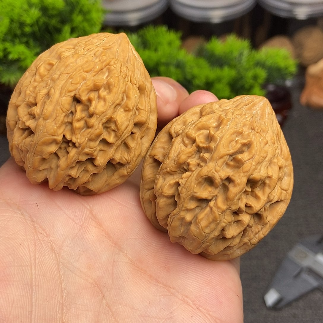 核桃大沽石43尺寸编号0482