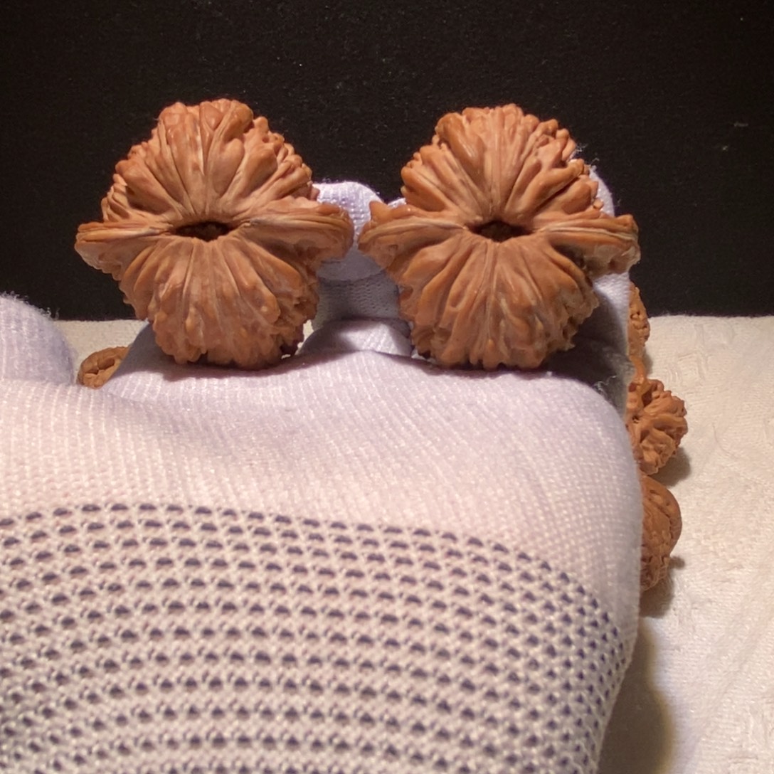 枫***逝极品四座楼狮子头，44尺