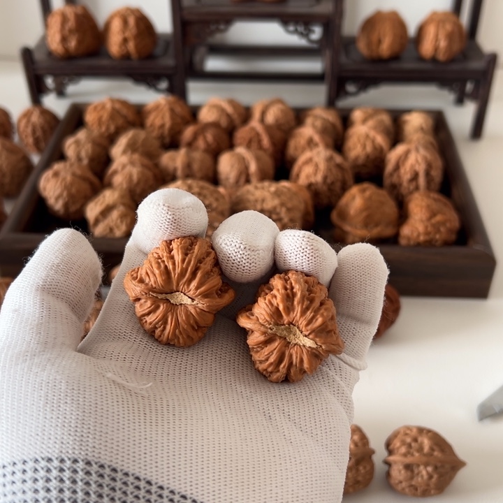 快***绕核桃全品密纹无药