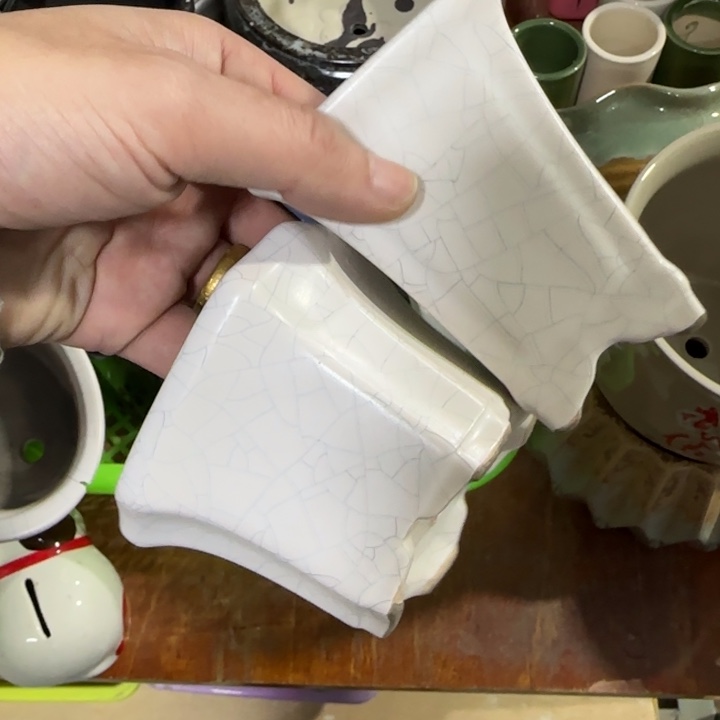 2《所有单满15发（花盆）》7×9-8+7