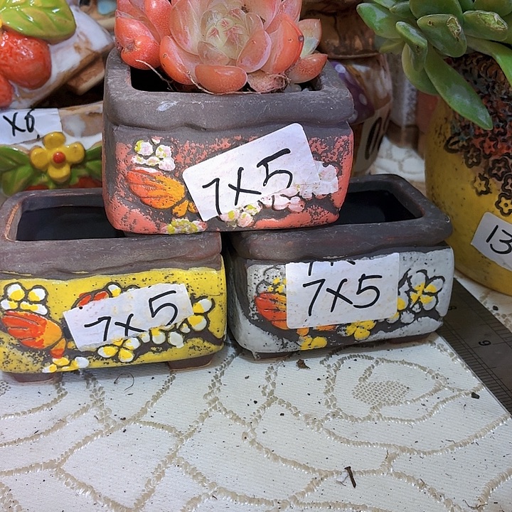 多肉花盆，满15包邮，