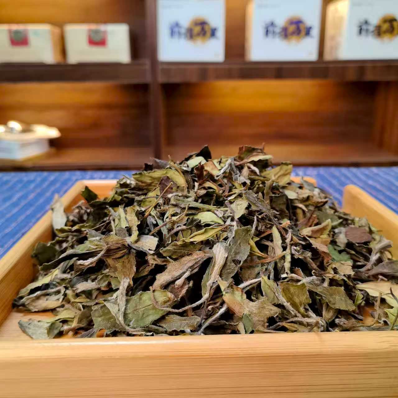 2023年4月12号三级牡丹 福鼎高山新茶 正宗福鼎白茶