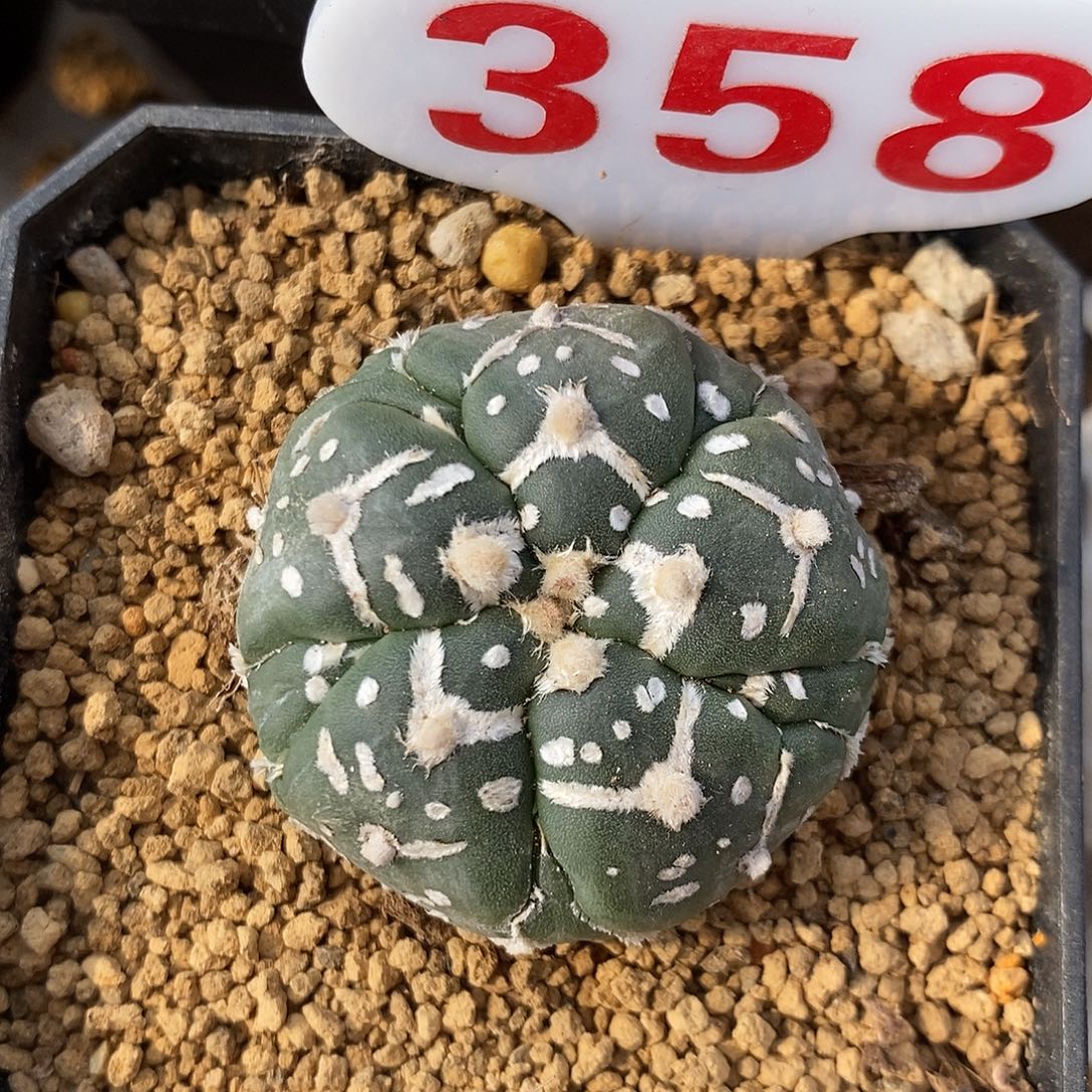 358五愣复愣v系列产品