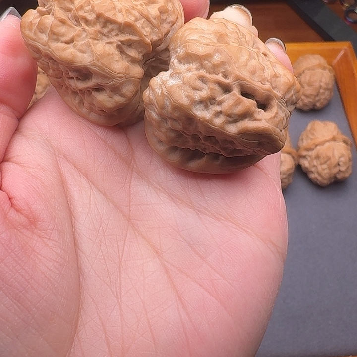 观***像38尺蛤蟆头精品一对