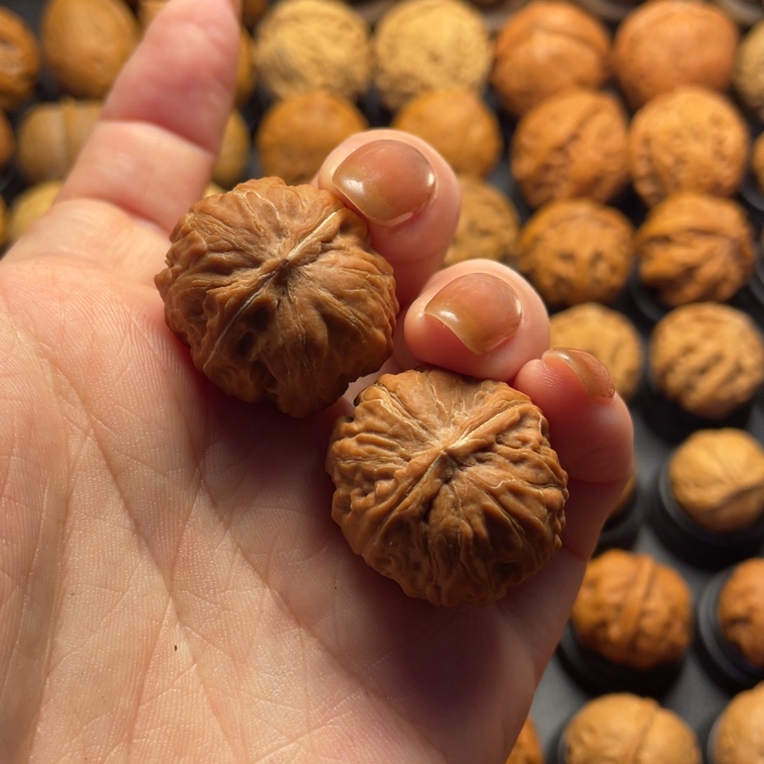 洵****把件文玩核桃核桃