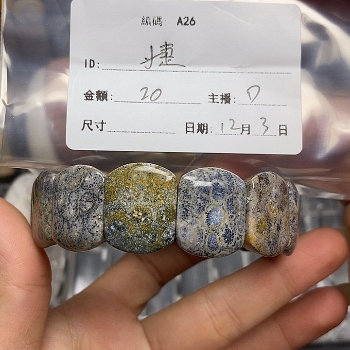 婕***硅化玉未镶嵌好看