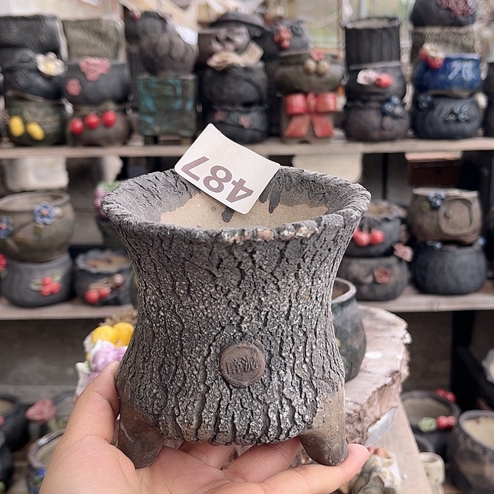 红陶你们还记得那些