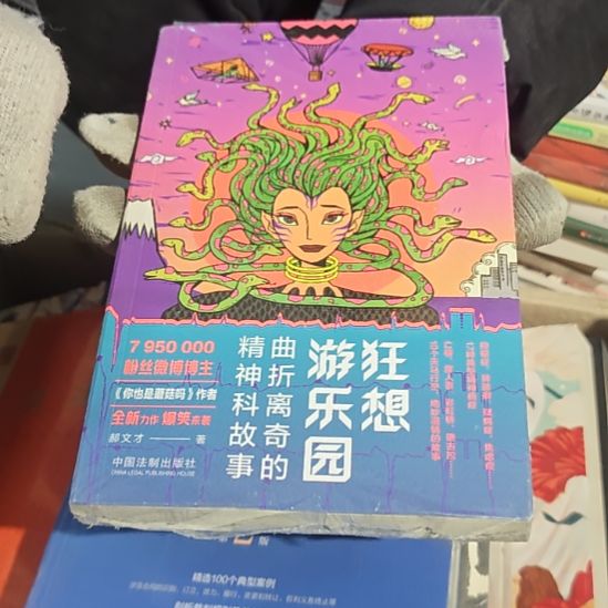 狂想游乐园平装库存书全新