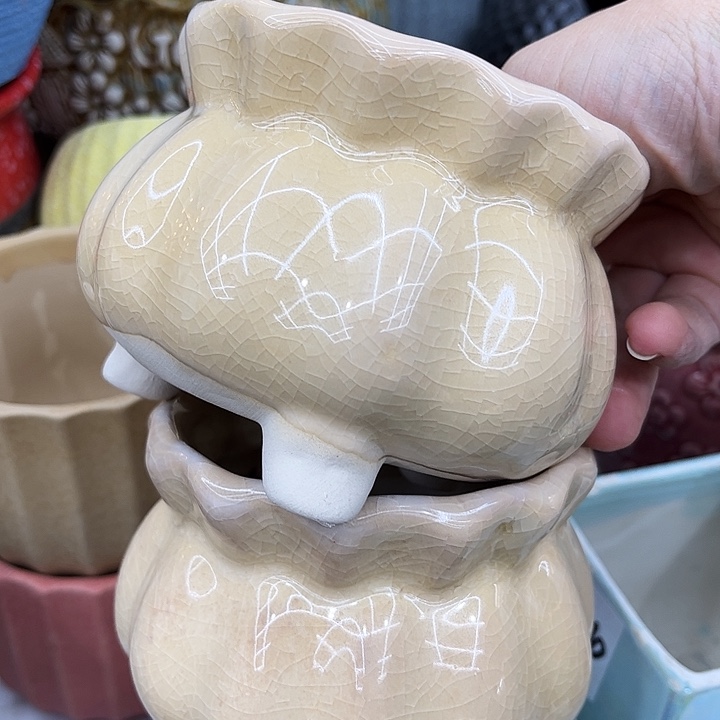 多肉植物陶瓷花盆