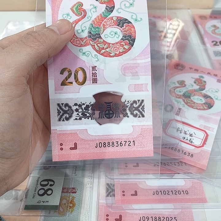 塑料蛇钞-6721————————-