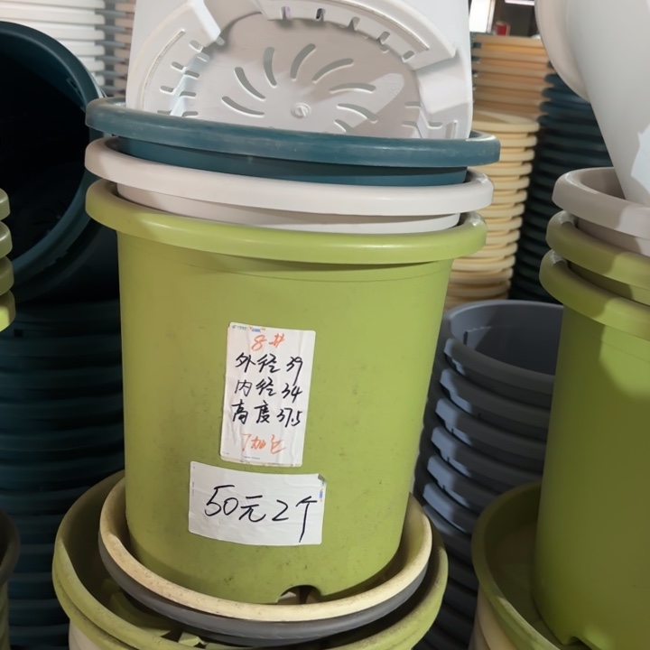 微瑕8#口径39无托果绿3个