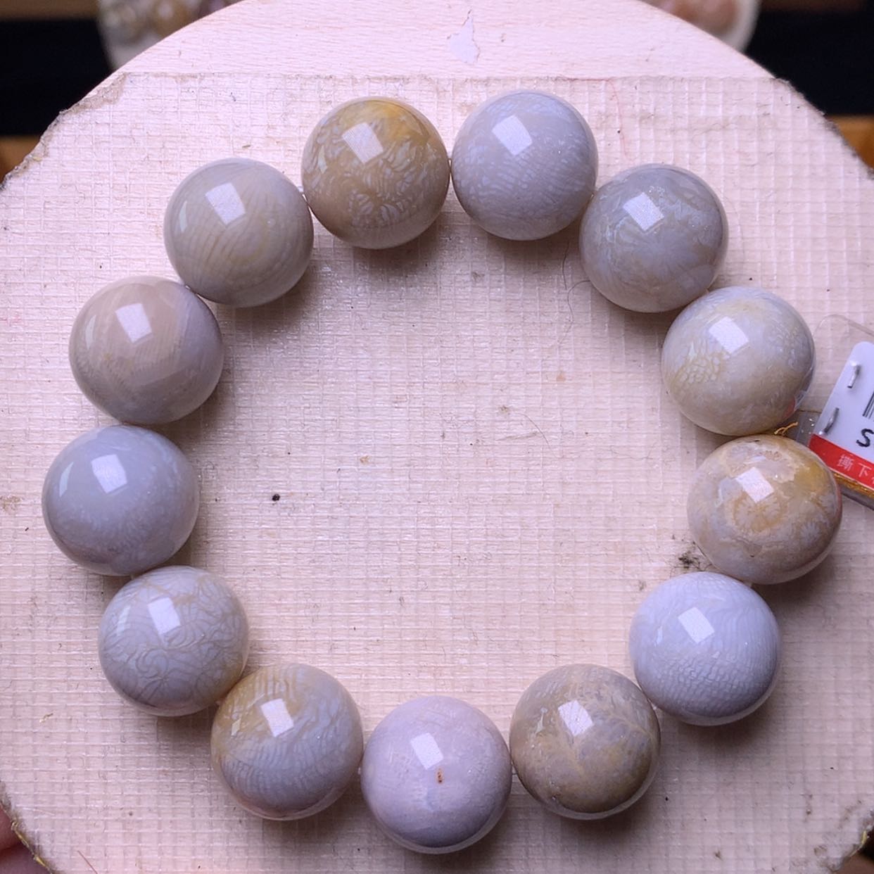 【闪购商品】硅化珊瑚（珊瑚玉）手链未镶嵌满圈凤尾68漏34