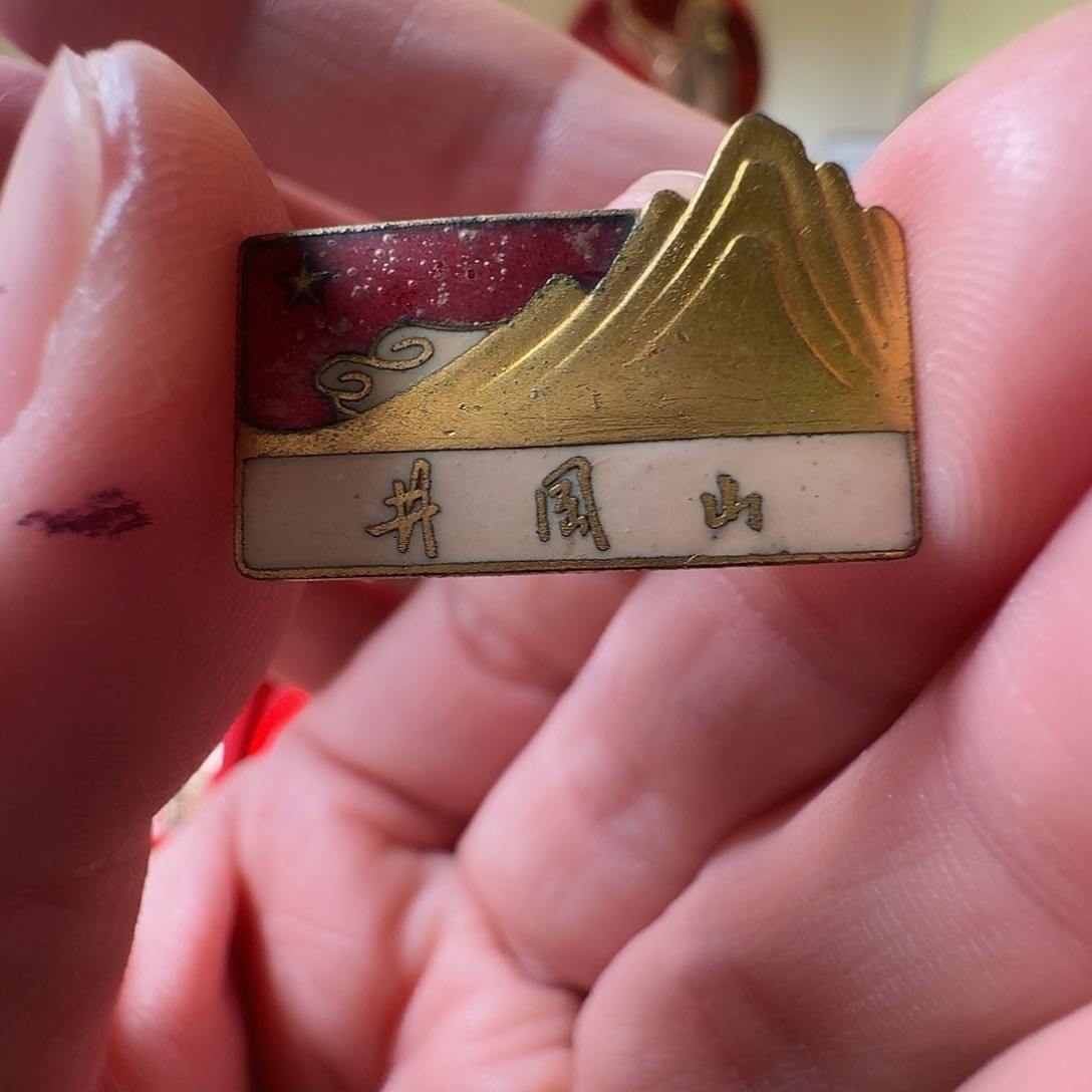 杨***藏铜徽章一枚给老铁……