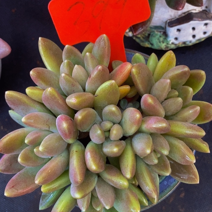 缘***缘这个我都看出来这