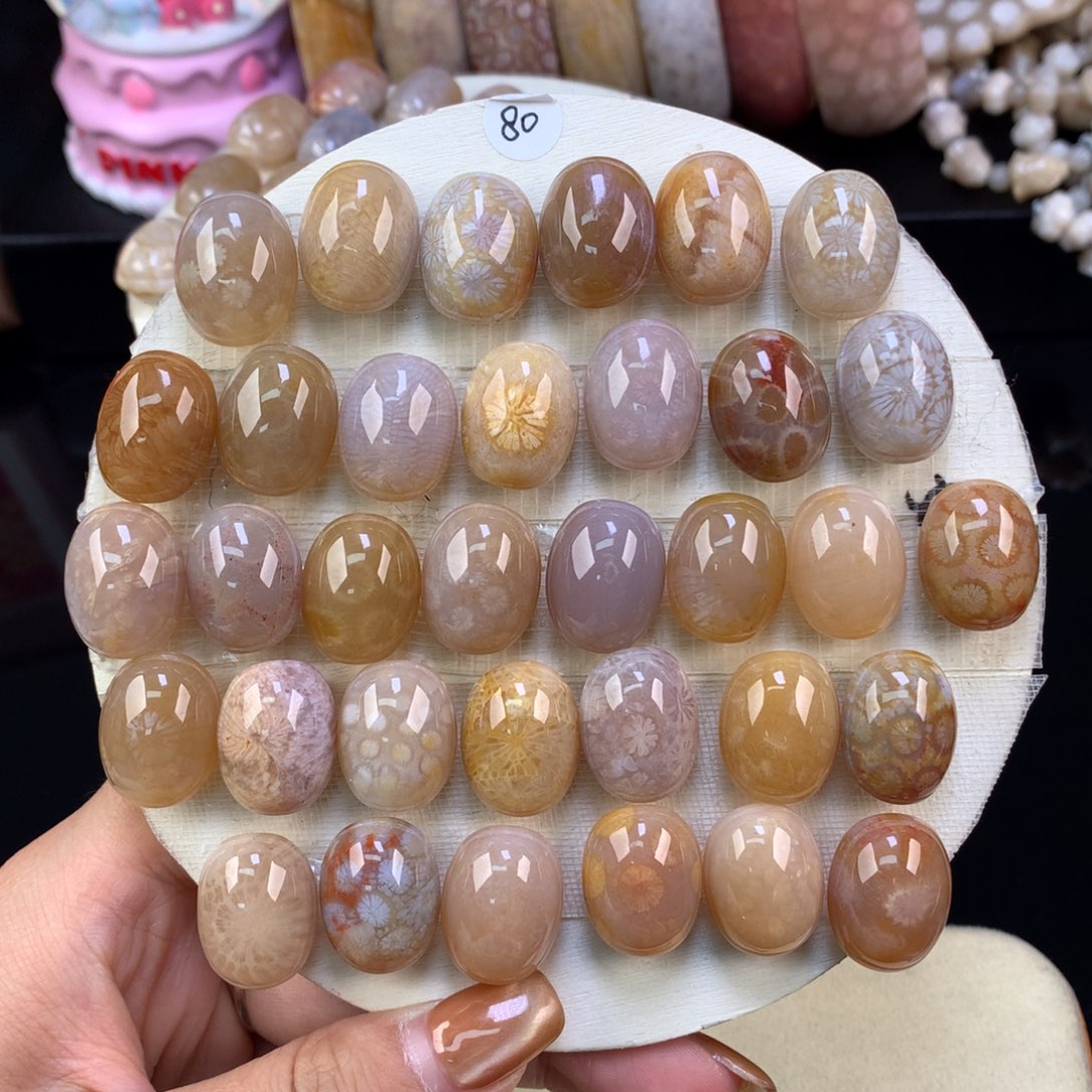 硅化珊瑚（珊瑚玉）未镶嵌颈饰精美龟背80一个可挑（7号）