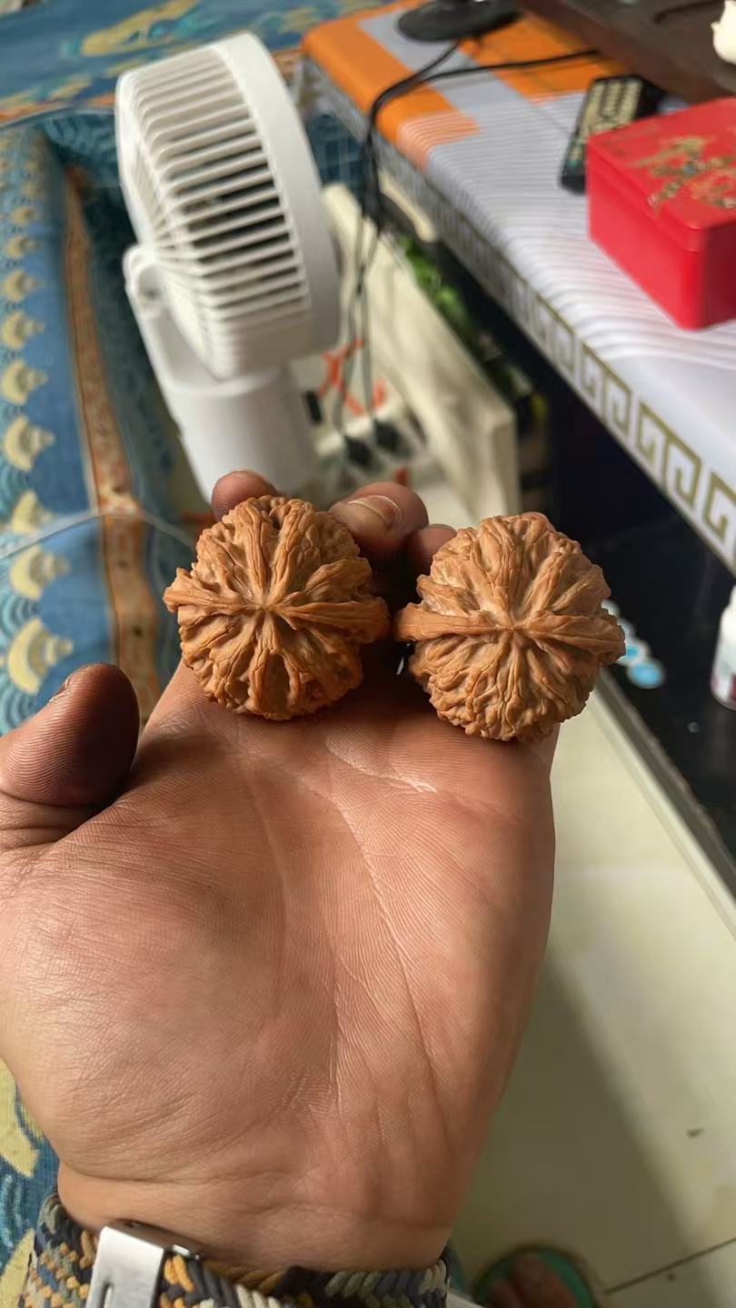 文玩核桃专拍链接