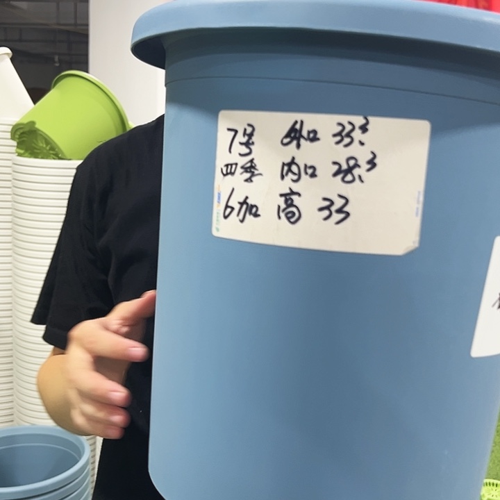 特价7号口33高33白色6只无托