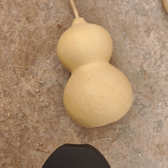 西****精品葫芦精品葫芦