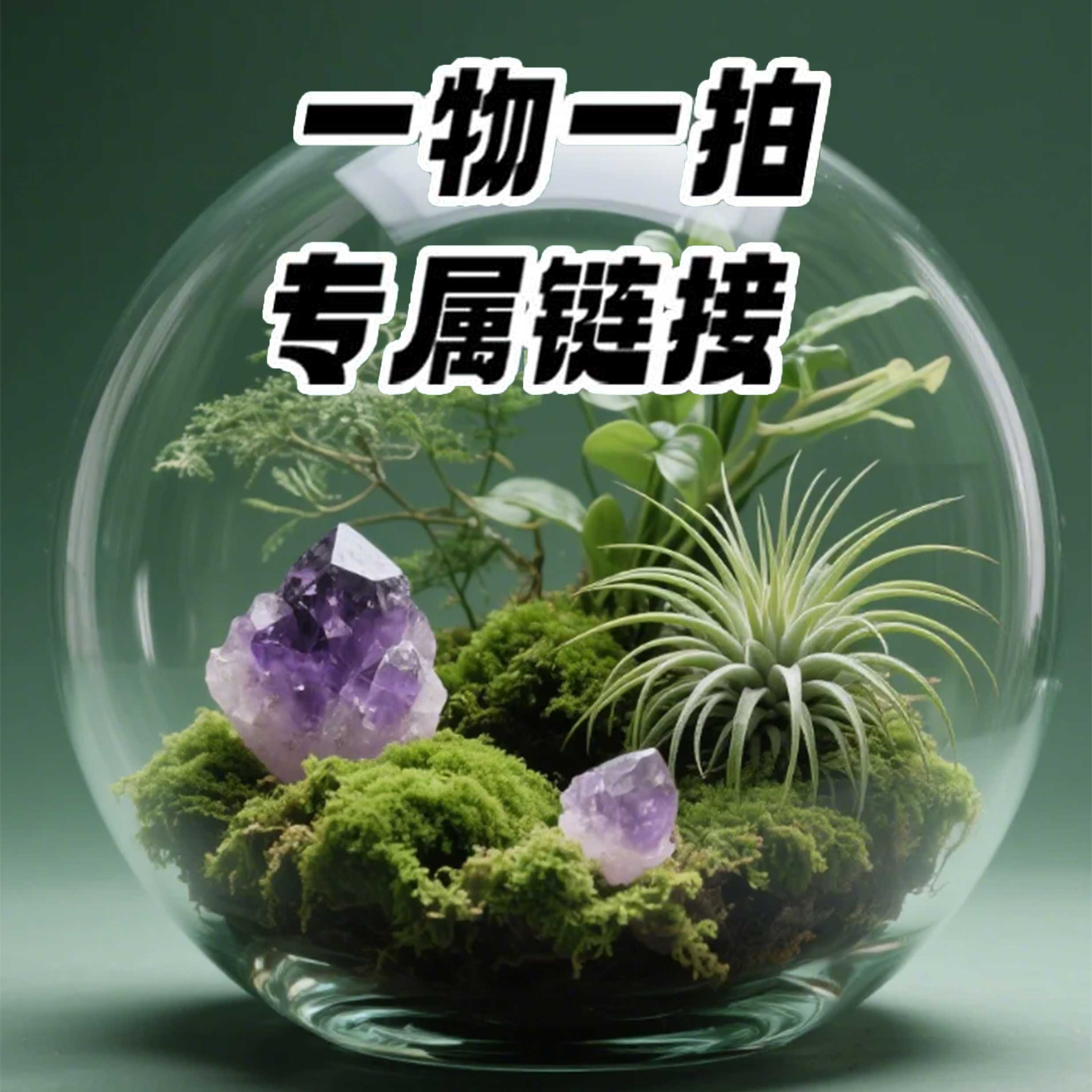 【山霖水晶微景观】定制森林爬宠造景缸守宫睫角龟螃蟹饲养箱