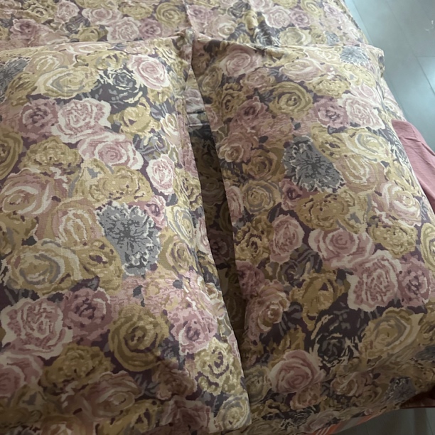 水洗皱皱纱枕套一对 内颈48.×74（+-5cm）【玫瑰佳人】信封枕套