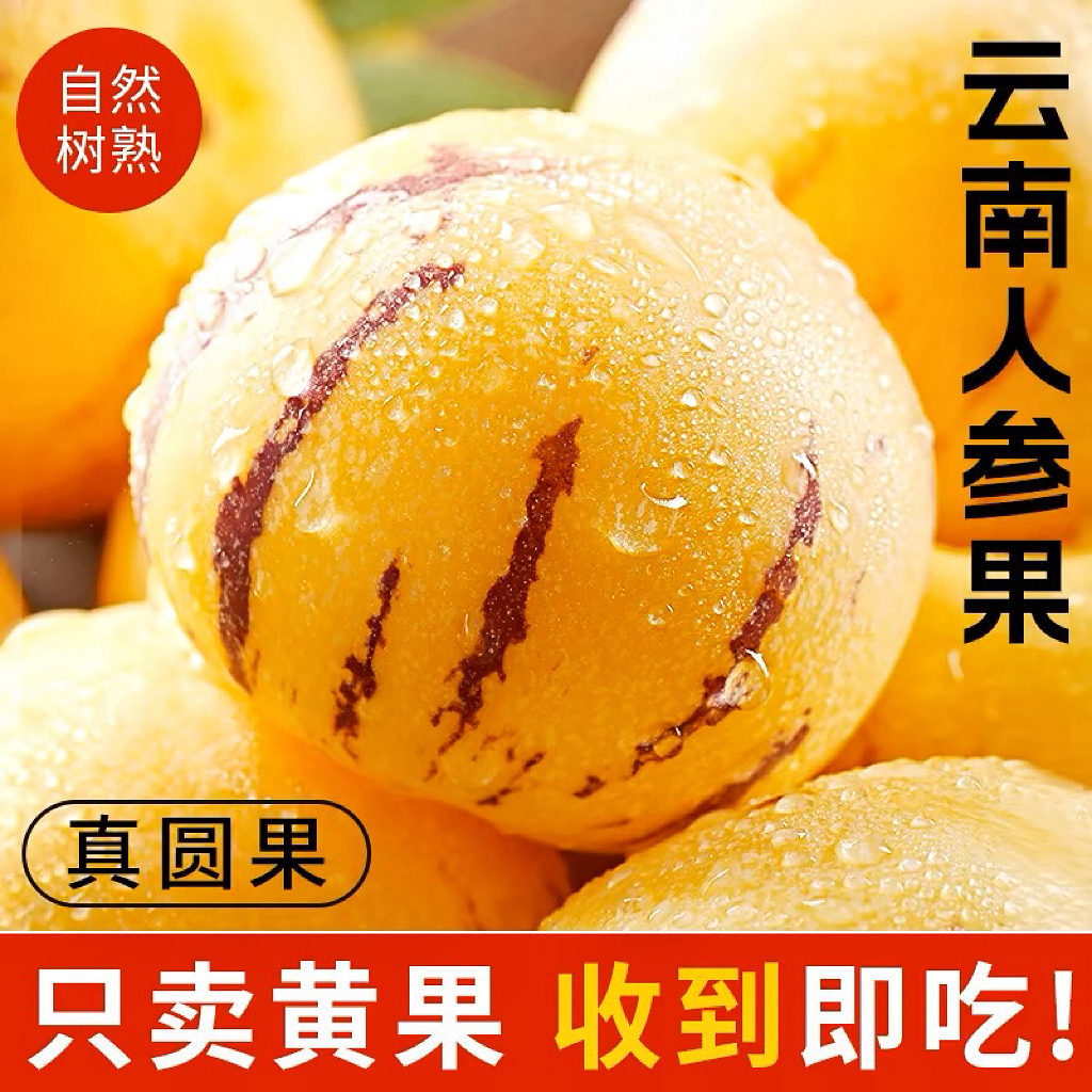 2025云南石林黄肉果树上自然熟新鲜多汁清甜应季水果
