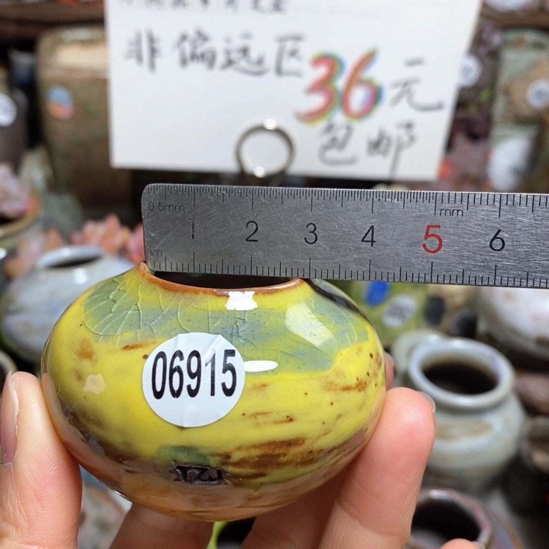 花盆拍5送一个小礼物