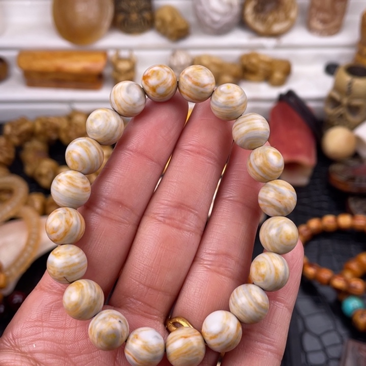 驼骨其他人工养殖10