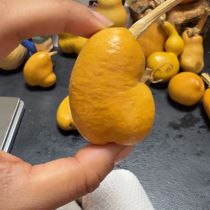 幸***狗66……………………………………