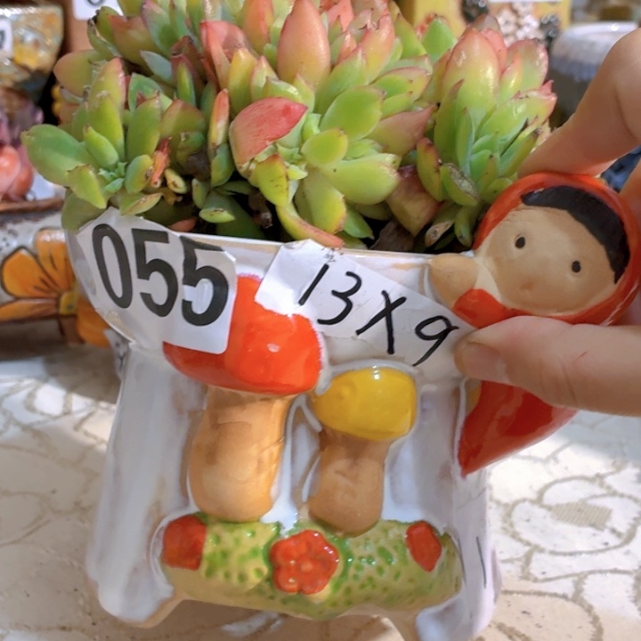 多肉花盆15包邮爱退款拉黑