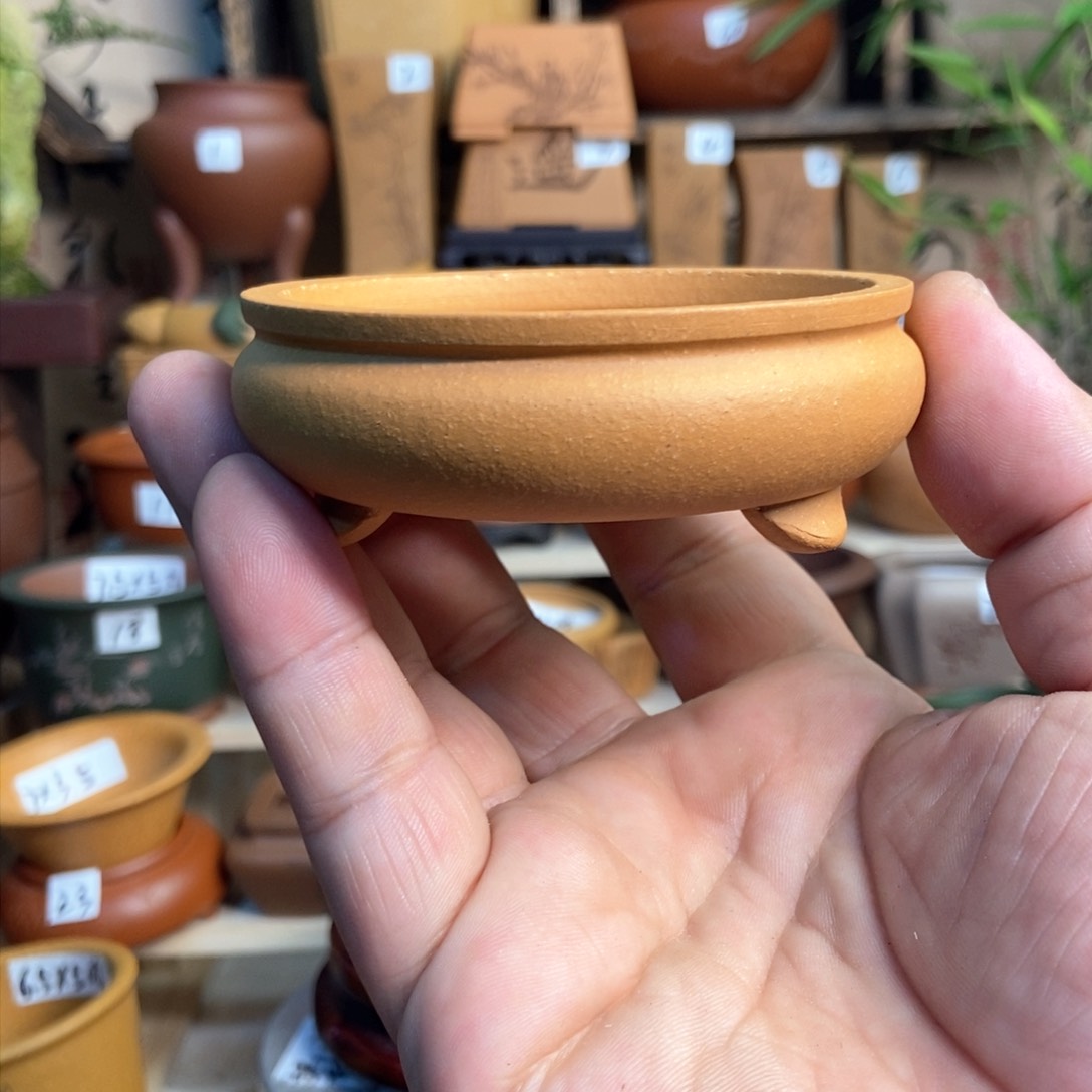 紫砂花盆长青，内口经尺寸7×2