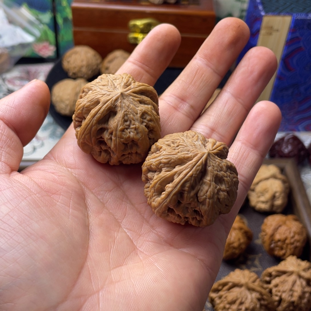 优***时手串/手链核桃粗筋40货头