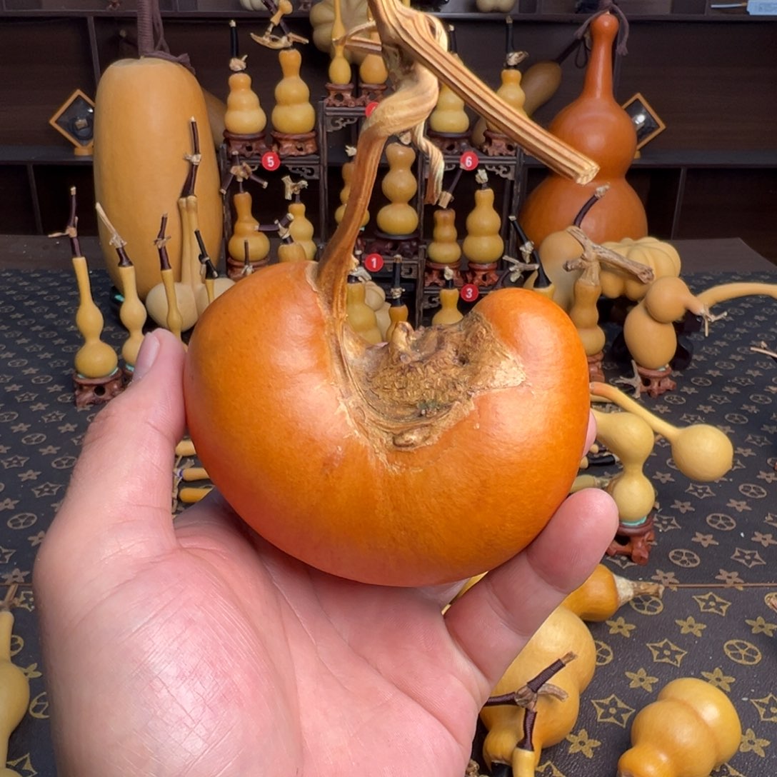 淡****有机玻璃定向闪购葫芦链接