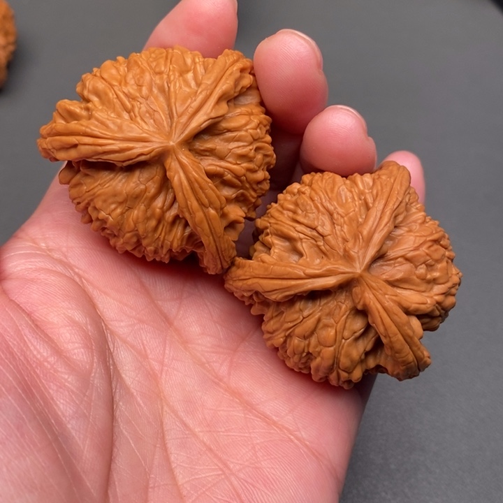 丽***聊木质类核桃核桃核桃