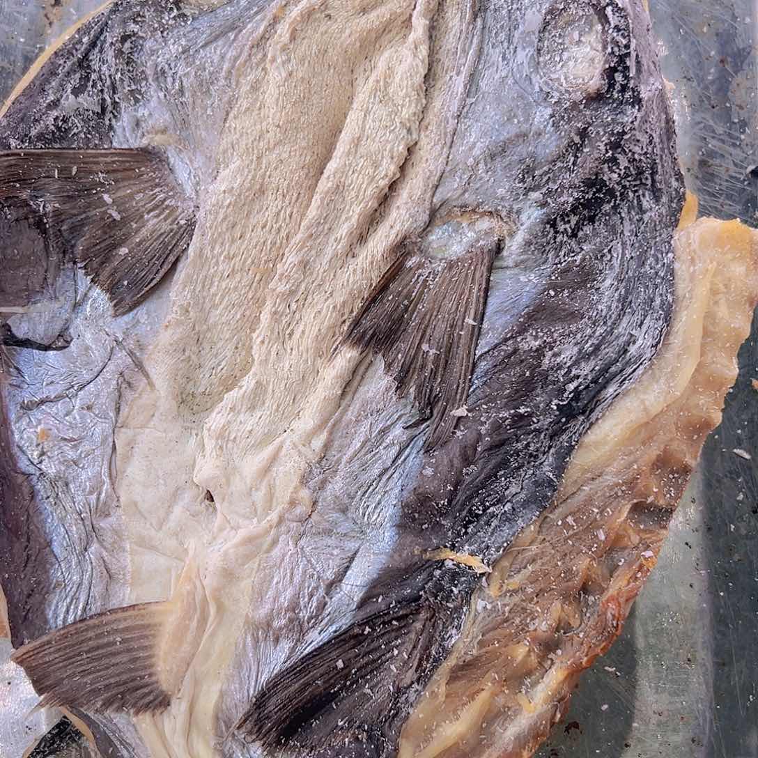 随***看中国大陆乡下代购蛤蟆鱼2只