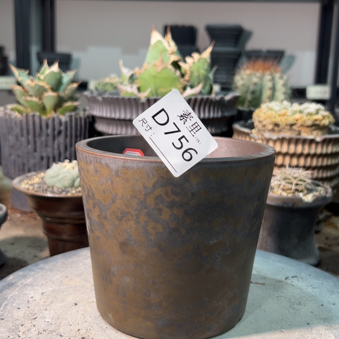 景德镇素里手工内口12号11.5