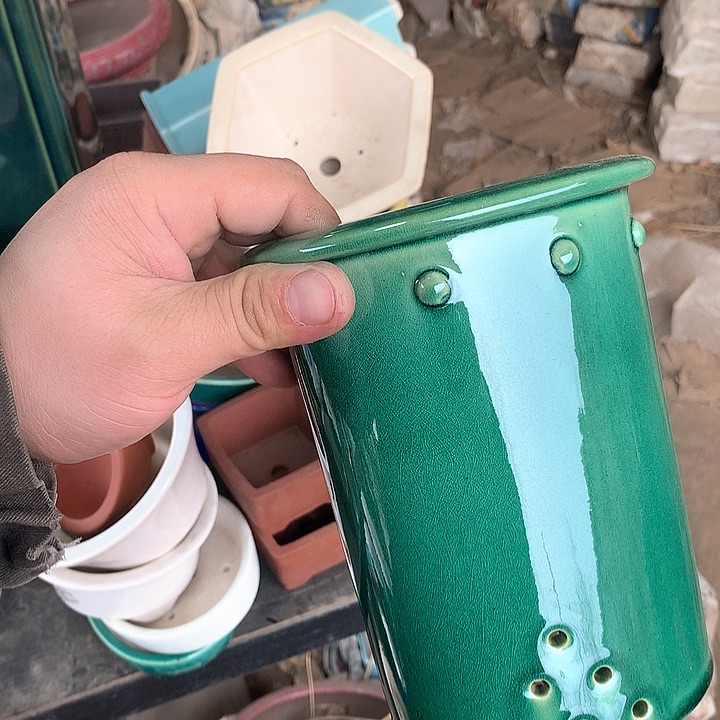 紫砂哈哈真的是太给力的样子