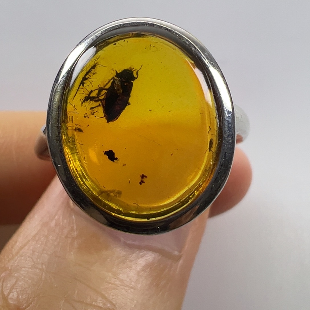 裸石琥珀未镶嵌琥珀虫珀