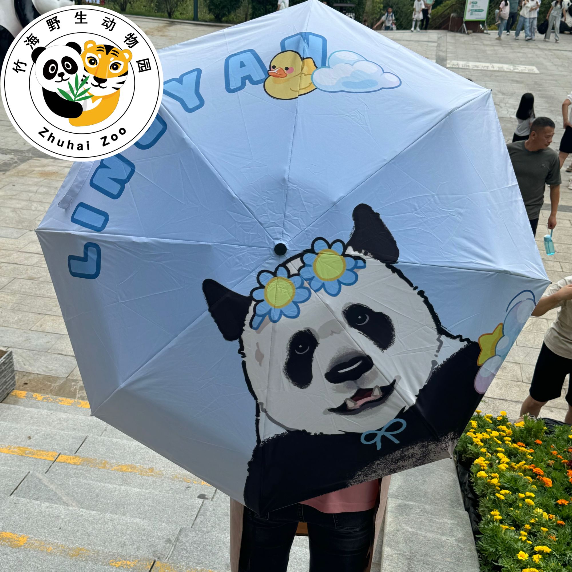 【灵岩彩色伞】熊猫文创三折防回弹晴雨两用遮阳伞可爱学生款