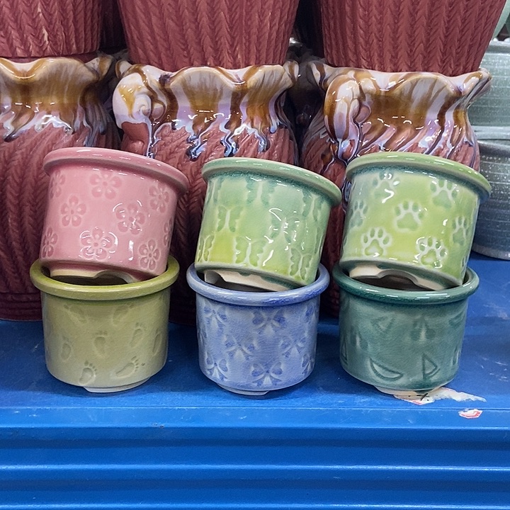 花盆单场满9.9发货8×6.5