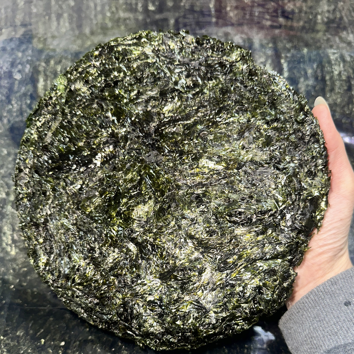 汕尾绿紫菜 无沙免洗靓靓靓